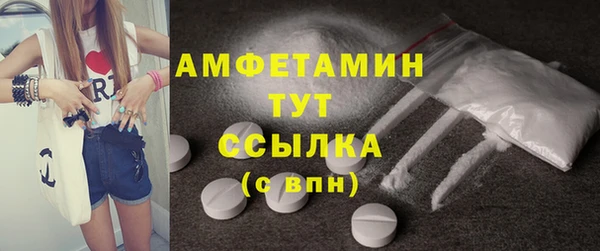 молекула духа Алексеевка