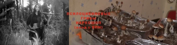 молекула духа Алексеевка