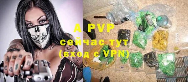 молекула духа Алексеевка