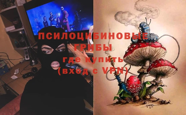 молекула духа Алексеевка