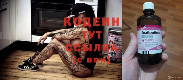 прущие грибы Абаза